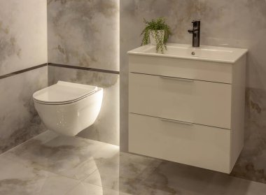 The bathroom overlooks the closed toilet, tap, cupboard, sink, plant and stone tiles on the wall.