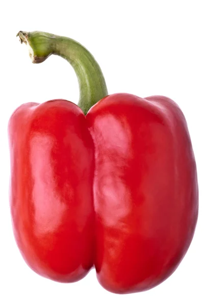 Röd paprika, helt isolerad på whit — Stockfoto