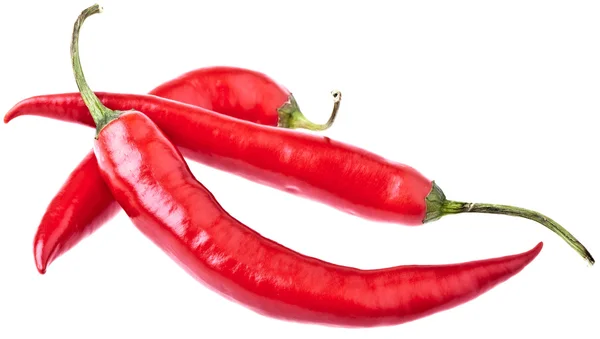 Chili picante, completamente aislado en whit — Foto de Stock