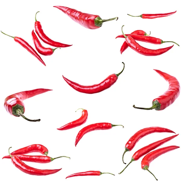 Isoliert, Sammlung frischer Paprika — Stockfoto