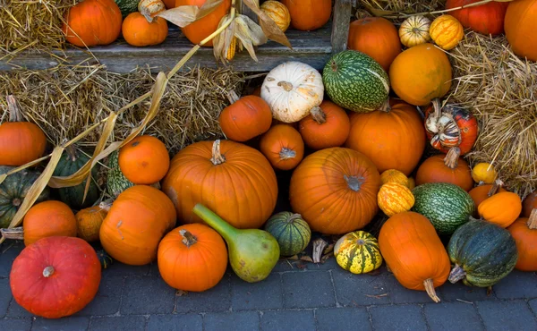 Pumpkins as fall decoration — Stock Photo, Image