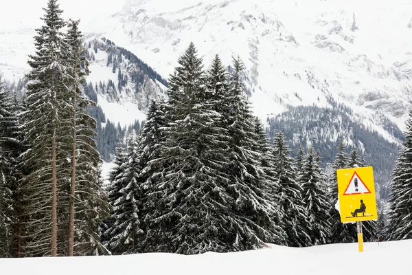 Sled route thru the forest — Stock Photo, Image