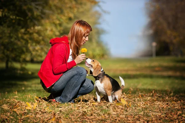 彼女の犬と秋の公園で遊んでいるガール フレンド — ストック写真