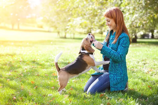 彼女の犬と秋の公園で遊んでいるガール フレンド — ストック写真