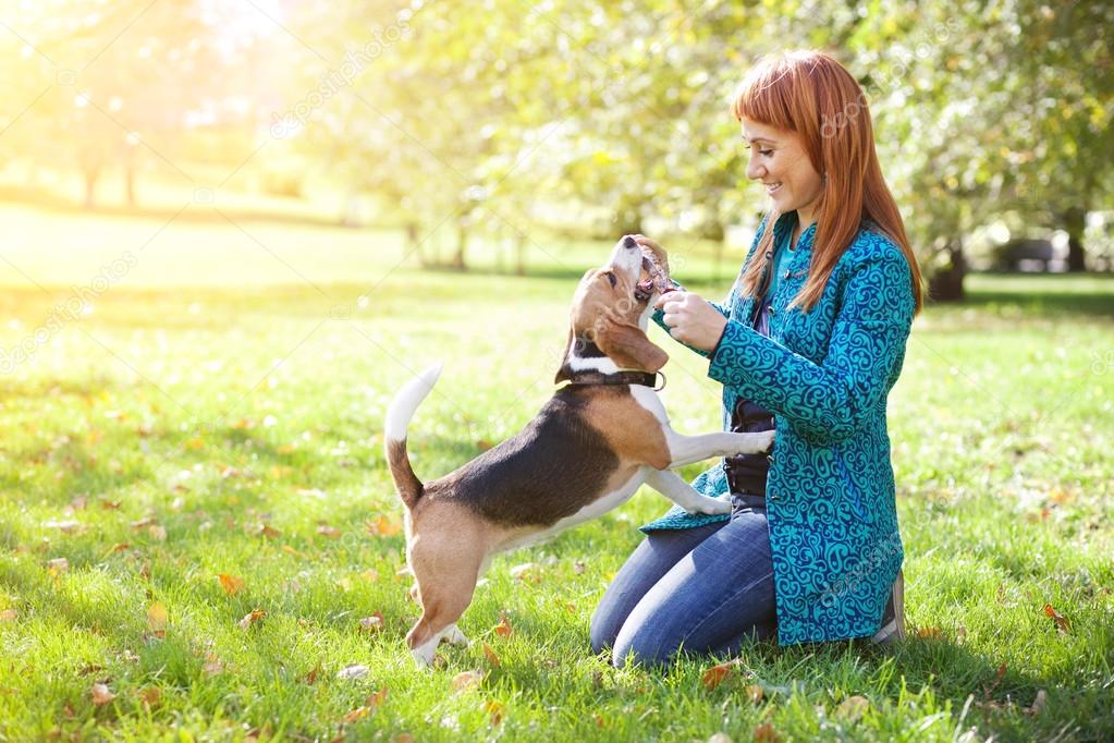 犬と人写真素材 ロイヤリティフリー犬と人画像 Depositphotos