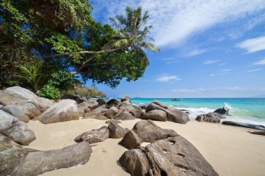 phi phi Island güzel tropikal plaj
