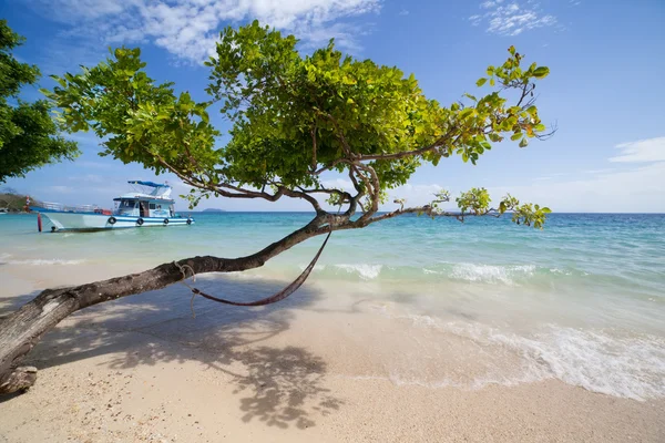 Hammock on the beach, Thailand, Ko Phi Phi — Stock Photo, Image