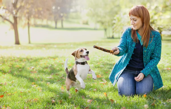 Meisje met haar hond in herfst park spelen — Stockfoto