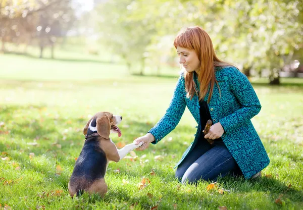 Meisje met haar hond in herfst park spelen — Stockfoto