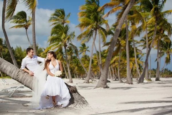 Bride and groom sitting on a palm tree on a tropical beach — Stock Photo, Image