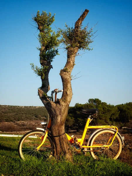 Bicicleta amarela — Fotografia de Stock