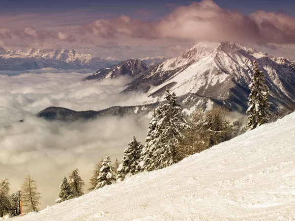 Vinter natur — Stockfoto