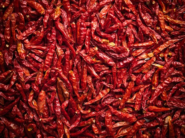 Dry Chili — Stock Photo, Image