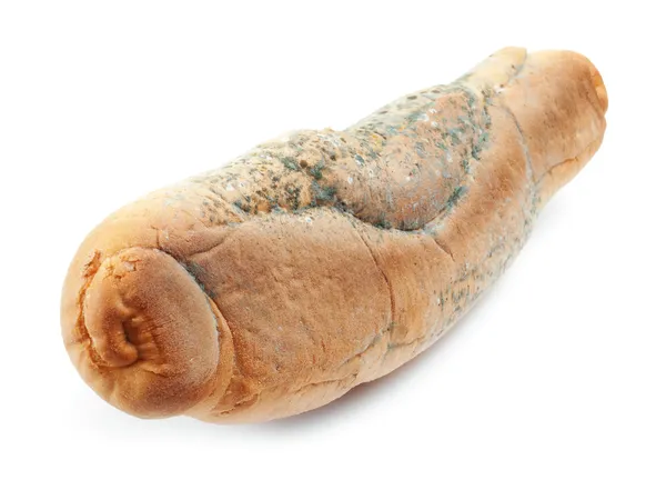 Plesnivý chléb — Stock fotografie