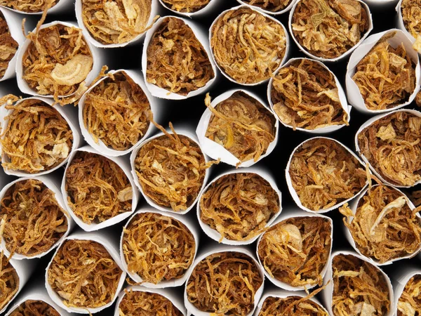 Tabak — Stockfoto