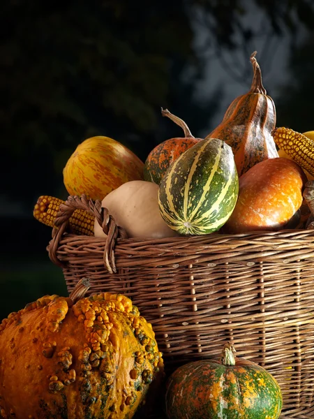 Fall basket — Stock Photo, Image