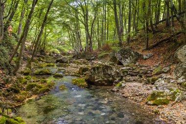 Kırım 'daki dağ nehri.