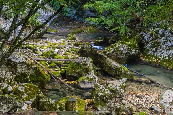 Il fiume di montagna nel Crimea — Foto Stock