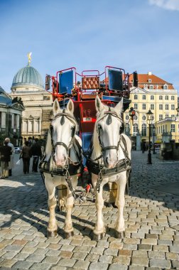 İki at arabaya bağlandı.