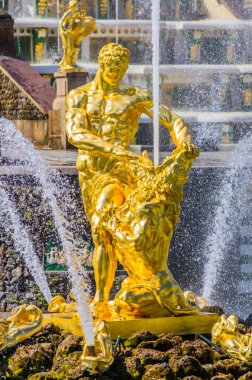 closeup samson çeşme peterhof, Rusya Federasyonu