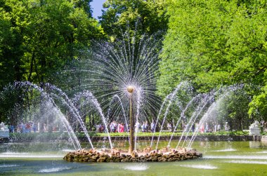 fontain, peterhof, Rusya Federasyonu
