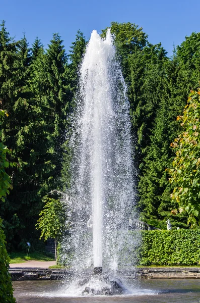 Prohlédni na fontáně v peterhof — Stock fotografie