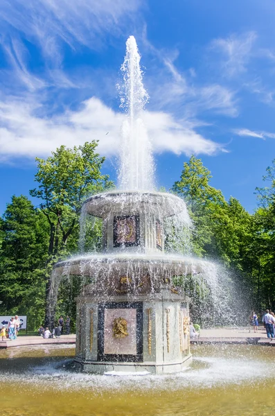 Vista sulla fontana a Peterhof — Foto Stock
