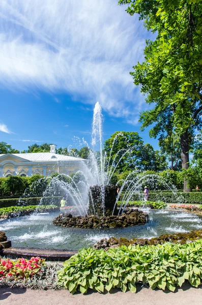 Blick auf Brunnen im Peterhof — Stockfoto