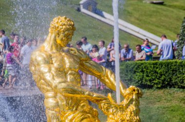 closeup samson çeşme peterhof, Rusya Federasyonu