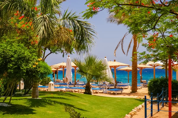 Plaża w luksusowym hotelu, Sharm el Sheikh, Egipt — Zdjęcie stockowe