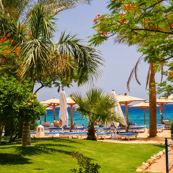 Praia no hotel de luxo, Sharm el Sheikh, Egito — Fotografia de Stock