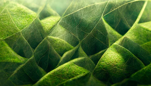 Render Abstract Green Leaf Texture Background Natural Background Wallpaper — Stockfoto