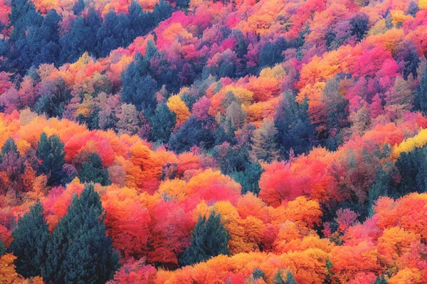 Illustration Selective Focused Blurred Colorful Fall Forest Landscape Wallpaper — Stok fotoğraf