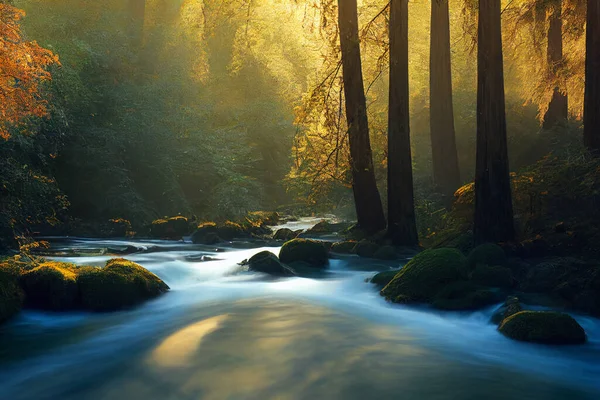 Peaceful River Flowing Redwood Forest Morning Light Dappled Sunshine Autumn — Stockfoto