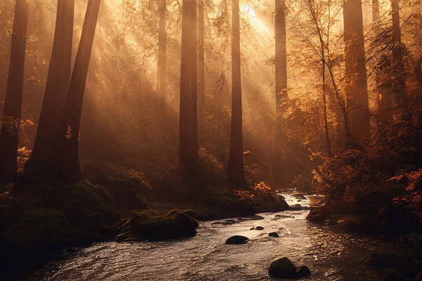 Peaceful River Flowing Redwood Forest Morning Light Dappled Sunshine Autumn — Stockfoto