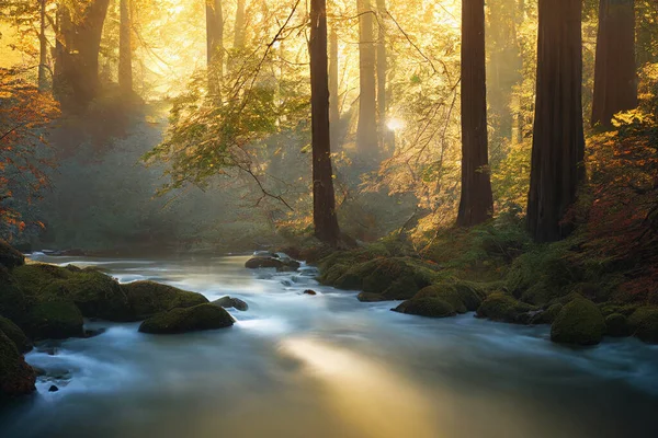 Peaceful River Flowing Redwood Forest Morning Light Dappled Sunshine Autumn — Photo