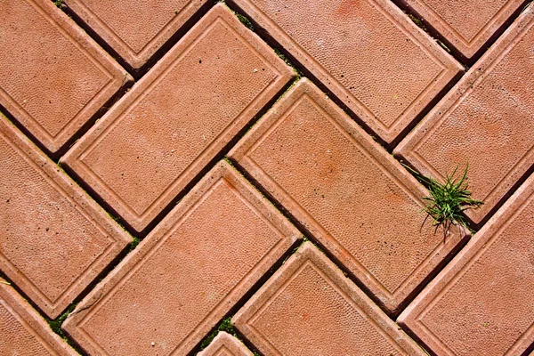 Roter Backstein Hintergrund mit einem kleinen Bündel grünen Grases — Stockfoto