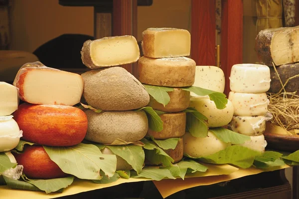 Pecorino — Stockfoto