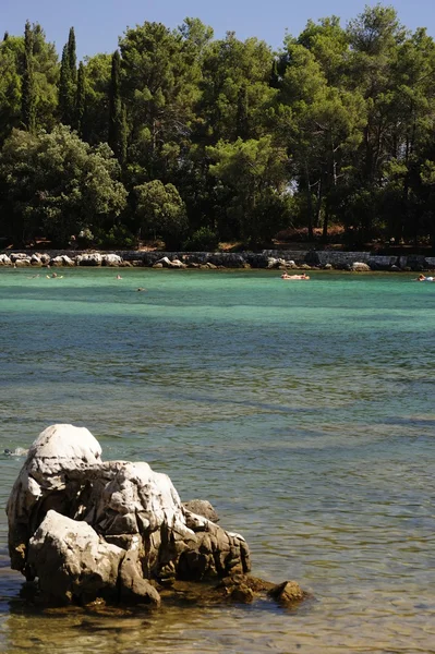 Chorwackiego wybrzeża w pobliżu rovinj — Zdjęcie stockowe