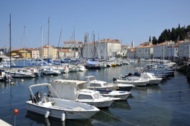 Piran (Slovenya)