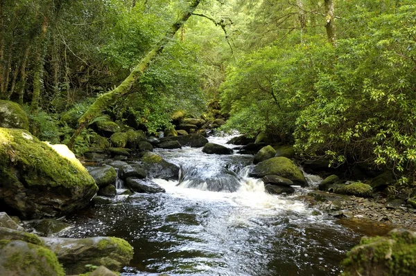 Torc-foss – stockfoto