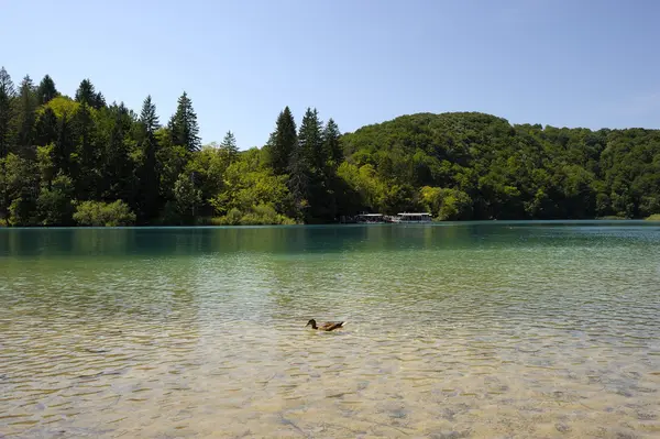 Národní Park Plitvická jezera (Chorvatsko) — Stock fotografie