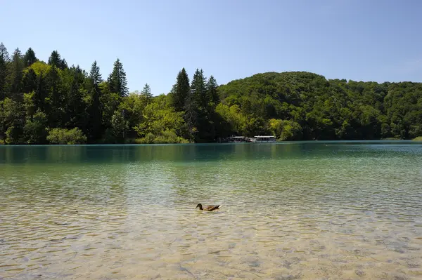 Parque Nacional de los Lagos de Plitvice (Croacia ) — Foto de Stock