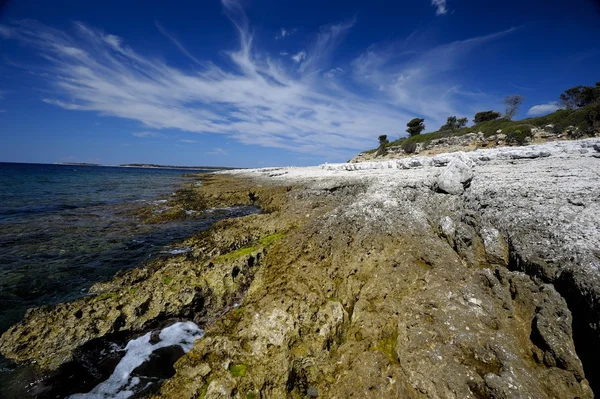 Brijuni Nationaal Park (Kroatië) — Stockfoto