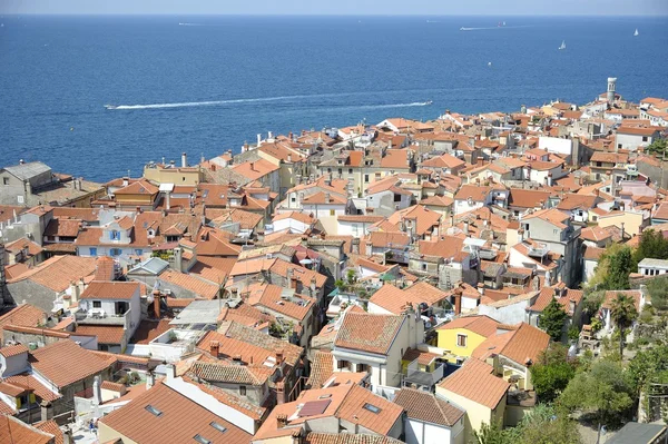 Piran (Slovenia) — Stock Photo, Image