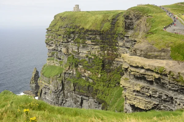 Cliffs of Moher — Stock Photo, Image