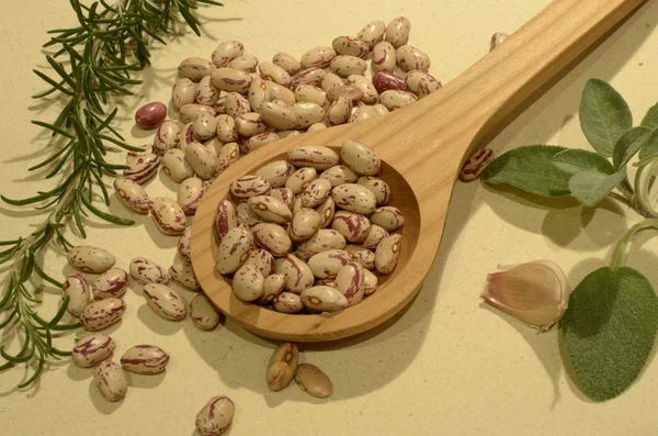 Frijoles Borlotti — Foto de Stock