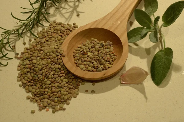 Lentils — Stock Photo, Image