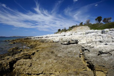 Brijuni Milli Parkı (Hırvatistan)