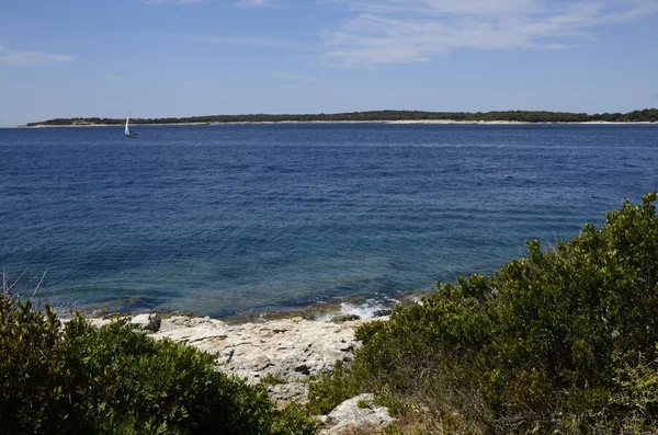 Brijuni Nationaal Park (Kroatië) — Stockfoto